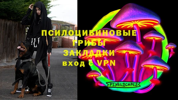 эйфоретик Пролетарск